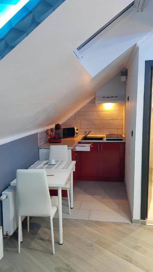 Le Petit Luxembourg Διαμέρισμα Montignies-sur-Sambre Εξωτερικό φωτογραφία